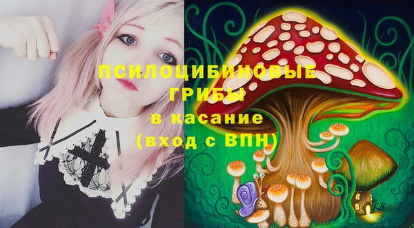 MDMA Горнозаводск