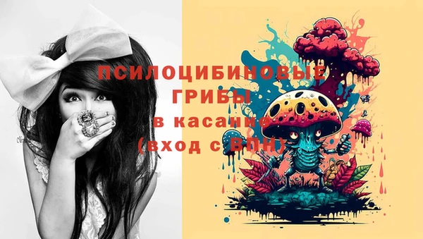 гидропоника Горняк