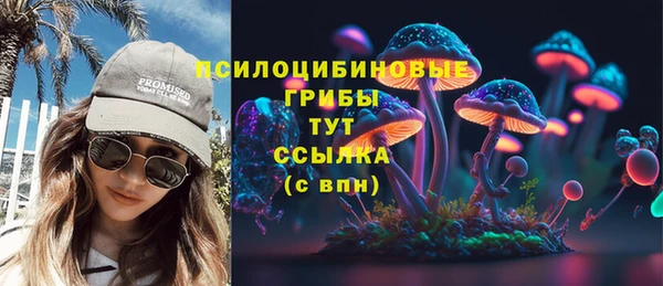 MDMA Горнозаводск