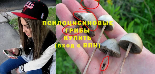 MDMA Горнозаводск