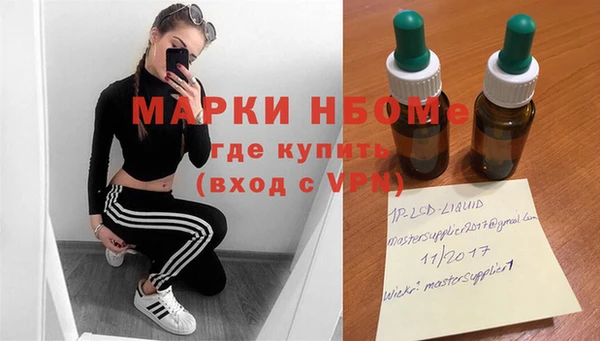 гидропоника Горняк