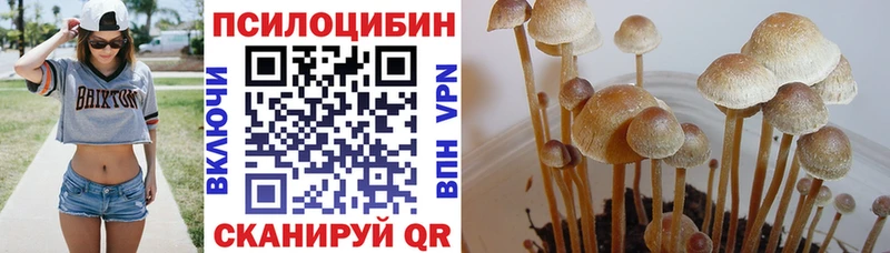 Галлюциногенные грибы ЛСД  Купить где  Байкальск 