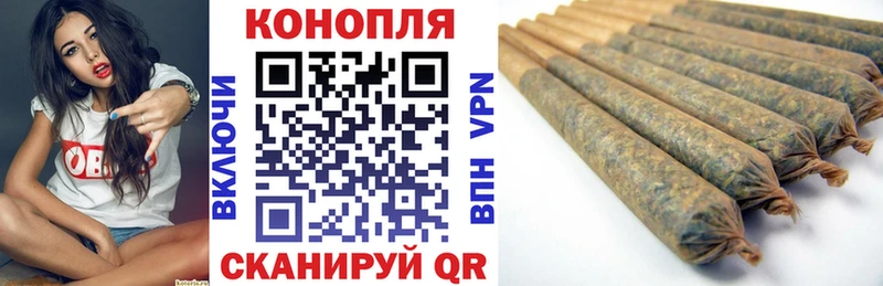 Купить где  Байкальск  Бошки марихуана гибрид 